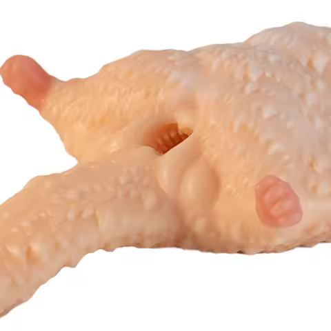 GEEBA Body-Safe Silicone Male Masturbator Fantasy Flying Squirrel Design Men's Stroker Cup Pocket Pu