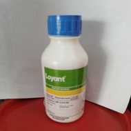 Loyant CORTEVA 500ml / Racun rumput sambau / Keladi Agas
