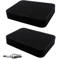 17211-899-000 Air Filter for Honda Generator GP5500 GP6500 GP6500E GP7500 GP7500E GP8000E RS5500 RS7