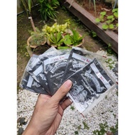*BUY 3 FREE 1* Magic Dye Fabric Hitamkan Pakaian Selangor