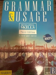 Grammar and Usage Set B