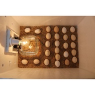 EGG MACHINE