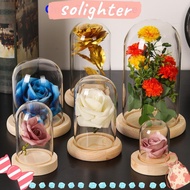 SOLIGHTER Glass cloche Home Decor Terrarium Tabletop Glass Vase Terrarium Jar Flower Storage box