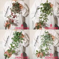 1/2pcs Artificial Plants, Vine Decor, 4 Options: A. Red Eyebrow Leaf, B. Green Eyebrow Leaf, C. Pepp