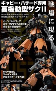 MG 1/100 MS-06R-2 GABBY HAZARD’S ZAKU II 高機動型渣古 PG PGU HG RG GFFMC