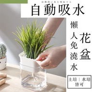 其他品牌 - 自動吸水 日式懶人免澆水花盆｜土培水培皆可可視水位透明盆栽 水耕栽培水種室內植物花盆 室內綠蘿自動吸水塑膠花盆