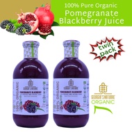 [Georgia's Natural] Pomegranate Blackberry Juice 750mLX2 [TWO Bottles] | 100% PREMIUM Pure Organic Beverage