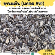 20 Sunflower Epot No. 20 (Sold Separately 500G.-1KG.) Parrot Food Hamster And Rodents