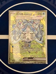 繁中 寶可夢卡：SV8aF 208/187 厄鬼椪水井面具ex SAR