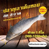 ปลากุเลาเค็มหอม(เก็บเงินปลายทาง)สั่งทำพิเศษ(ใช้ปลาสด)อร่อย  หอม ตัวใหญ่ ขนาดประมาณ 1 กิโล(900-1250 กรัม)