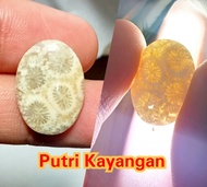Batu Akik Motif Bunga Teratai Indah