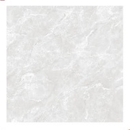 Zigma grey Asia tile 40 x 40