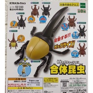 Asari Gashapon Beetle Evolution Fit Insect