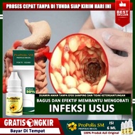 Obat Infeksi Usus Infeksi Usus Dan Lambung Infeksi Usus Buntu Infeksi Usus Besar Herbal Infeksi Usus