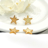 Titanium earrings - star-BT100