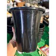 Thai Bell Glossy Pots 7x8
