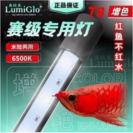 LumiGlo+ Solar Booster+ Colour Up 6500K Display & Tanning Led Lighting