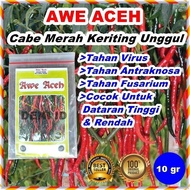 Hemat 💗 Benih Cabe Awe Aceh Bibit Cmk Cabai Merah Keriting 10 Gram