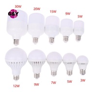 G&Y LED Bulb DC 12V LED Light  5W 7W 9W 12W15W 20W 30W For  Led Light Bulbs12-85V Low Voltages Lamps