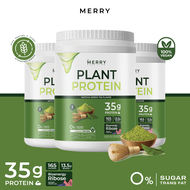 ส่งฟรี ของแท้ [3 กระปุก] Merry Plant Protein โปรตีนพืช 5 ชนิด : รส Matcha Green Tea