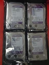 Western Digital Purple Surveillance Internal Hard Disk 4TB (WD43PURZ)