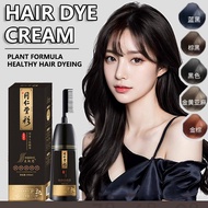 500ML 3 IN 1 Hair Coloring Comb Hair Dye Coloring Shampoo Hair Care Hair Conditioner NATURALS HAIR D