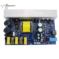 1000W Class D Power Amplifier Board Mono Power Amp Board with Switching Power Supply