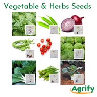 Vegetable &amp; Herbs Seeds ( Okra, Eggplant, Cherry Tomato Basil Mustasa Lettuce Sili arugula)