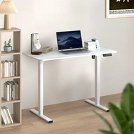 Flexispot LiteGo 電動升降桌 入門基礎款