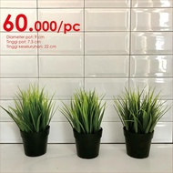 Ikea fejka/Grass pot