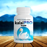 KAPSUL TULANG ANGSA BY NR BEAUTY Energy Plus kalsiPRO 20 KAPSUL READY STOCK Approved SIRIM HALAL Kkm