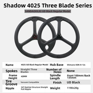 BLASTWAVE | BMX Racing Carbon Fiber Wheelset 451mm Open Tire