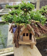 miniatur rumah pohon bonsai aquascape aquarium. sudah jadi sudah tenggelam tinggal pasang