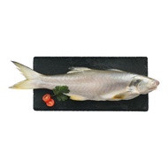 Threadfin Whole, 250g