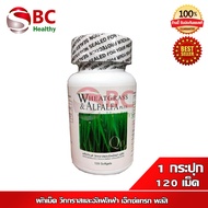 wheatgrass & alfalfa plus (armstrong network) vegetable and alfalfa (1 jar 120 tablets)