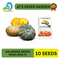 VALUE PACK (10 SEEDS) - KALABASA/ROSALINDA F1/ EASY TO GROW/ MORE HARVEST/ MORE INCOME