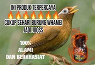 MAKANAN BURUNG WAMBI BIAR GACOR