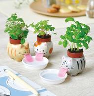 聖新陶芸Peropon吐舌動物自動吸水種植組/ 三花貓/ 野草莓/ S