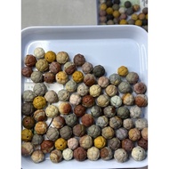 Alxa Yarn Ball 12-13mm Agate