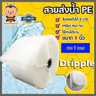 สายส่งน้ำPE Dripple สีใส ขนาด 8 นิ้ว ยาว 1-100 เมตร สายส่งน้ำ สายส่งน้ำพีอี ระบบน้ำ ท่อส่งน้ำ