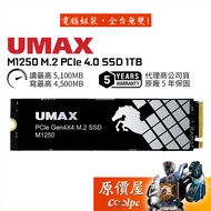 UMAX Regent M1250 M.2 PCIe 4.0 SSD 1TB/Solid State Drive/Original Price House
