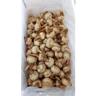 KEREPEK NGAKU @ ARROW HEAD CHIP