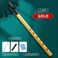 MARISSAWI 6 Holes Irish Whistle C/D Key C/D Key Clarinet Irish Whistle Flute Flute 6 Holes Metal Ire