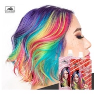 Hair Color Dye Shampoo Conditioner 2 in 1 Color Dye