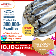 Ikan Masin Tamban Sisik Gred 3A Ocean Papa (300g+-) / Salted Fish