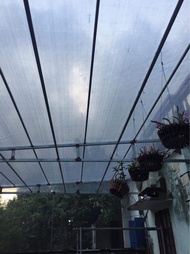 Lưới che nắng 3m x 8m (Đài Loan)