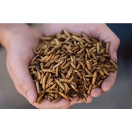 dried black soldier fly Larvae (high protein) - Koi Food, Arowana Food, Fish Food, Bird Food, chicken feed, Reptile Food