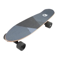 ELECTRIC 4 WHEELS SCOOTER SELF BALANCING SKATEBOARD (GRAY)