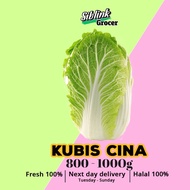 Fresh Kubis Cina Chinese Cabbage 1000g +- Harga Pasar Borong SAYURAN SEGAR Vegetables Grocery Segar 