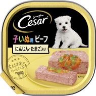 Caesar tray for puppies up to 12 months x 24 pieces beef carrots and eggs hydration comprehensive nu